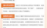 《中共中央关于加强党的政治建设的意见》：如何抓好党的政治建设