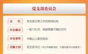 《中国共产党支部工作条例（试行）》④ 党支部的工作机制