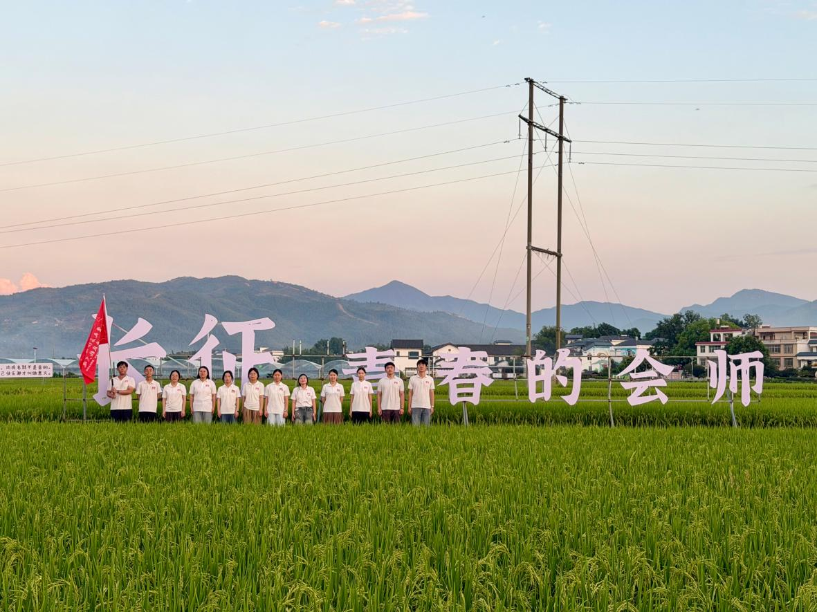 图片7